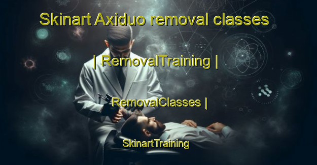 Skinart Axiduo removal classes | RemovalTraining | RemovalClasses | SkinartTraining-China